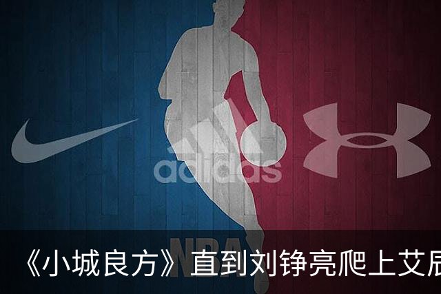 《小城良方》直到刘铮亮爬上艾辰的床，才知，她三十岁未婚的真相
