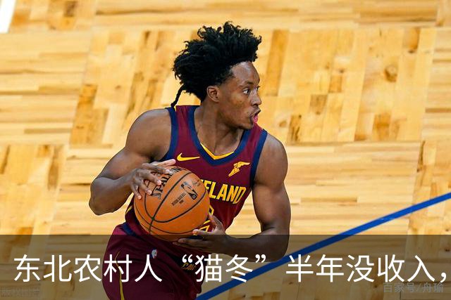 东北农村人“猫冬”半年没收入，一大家子人怎么撑下来的？