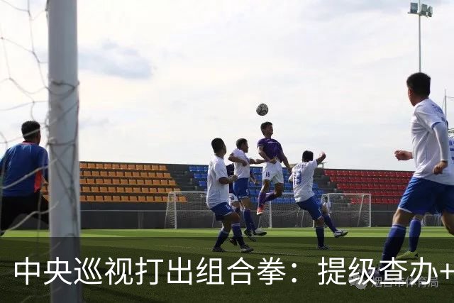 中央巡视打出组合拳：提级查办+深挖保护伞，查到线索再也瞒不住