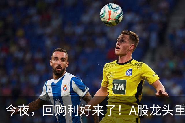 今夜，回购利好来了！A股龙头重磅出手