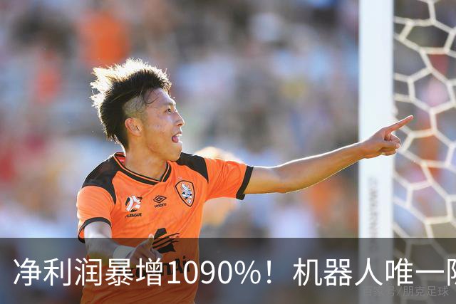 净利润暴增1090%！机器人唯一隐形冠军获主力锁定，减速器+3D打印+光伏