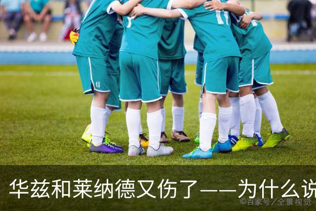 华兹和莱纳德又伤了——为什么说又？