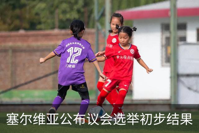 塞尔维亚公布议会选举初步结果
