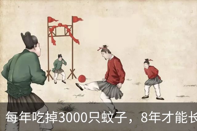 每年吃掉3000只蚊子，8年才能长大，却被人类作为美食大量捕捉