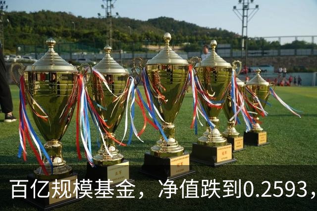 百亿规模基金，净值跌到0.2593，暴跌74%，亏得基民都不敢看账户