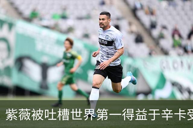 紫薇被吐槽世界第一得益于辛卡受伤，梅总发声力挺：排名100%公平