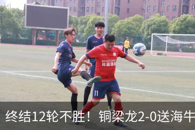 终结12轮不胜！铜梁龙2-0送海牛12连败 肯帕努迪马塔破门