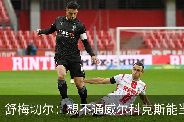 舒梅切尔：想不通威尔科克斯能当上曼联足球总监，他曾效力利兹联
