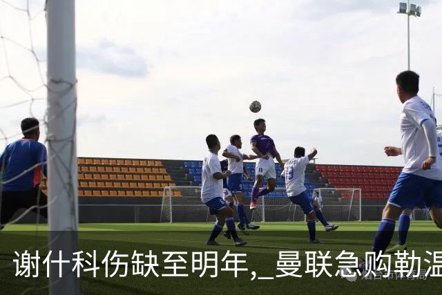 谢什科伤缺至明年, 曼联急购勒温补锋线