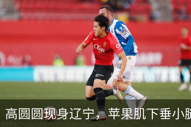 高圆圆现身辽宁，苹果肌下垂小腿粗壮，却被自然老去的女人味吸引