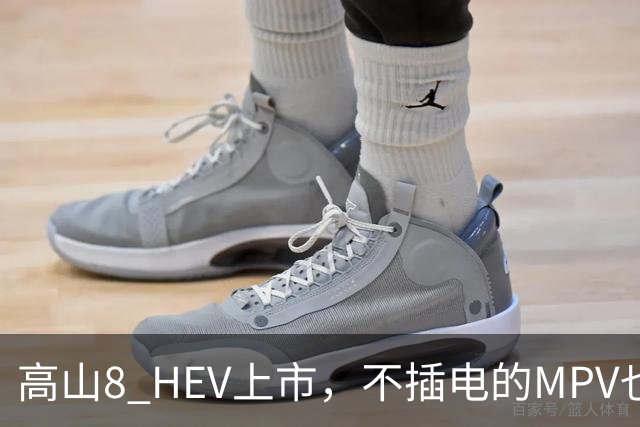 高山8 HEV上市，不插电的MPV也配激光雷达