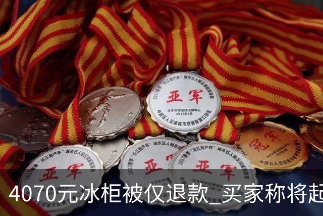 4070元冰柜被仅退款 买家称将起诉卖家要求退一赔三，卖家称愿对簿公堂